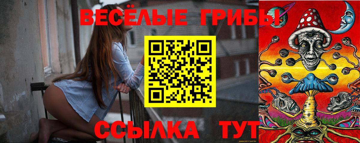 Бугульма  Галлюциногенные грибы Psilocybine cubensis  Галлюциногенные грибы Psilocybine cubensis  купить наркотик  Вход с VPN 